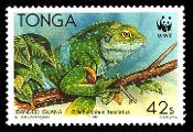 Tonga - WWF - 1990