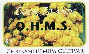 Copy of Flower Definitive OHMS (Green)