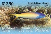 Penrhyn Fish Definitive Part 2
