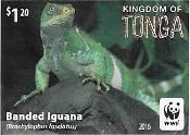 Tonga - WWF Banded Iguana