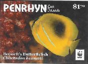 Penrhyn - WWF Butterflyfish