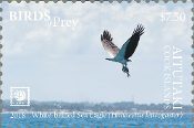 Aitutaki - Birds of Prey