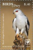 Tonga - Birds of Prey