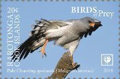 Rarotonga - Birds of Prey