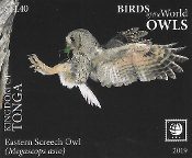 Tonga - Birds of the World - Owls