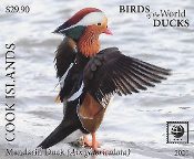 Cook Islands - Birds of the World - Ducks