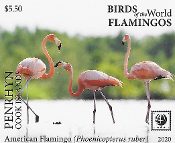 Penrhyn - Birds of the World - Flamingos