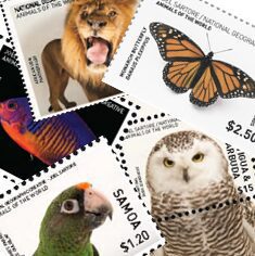 Philatelic Collector Inc