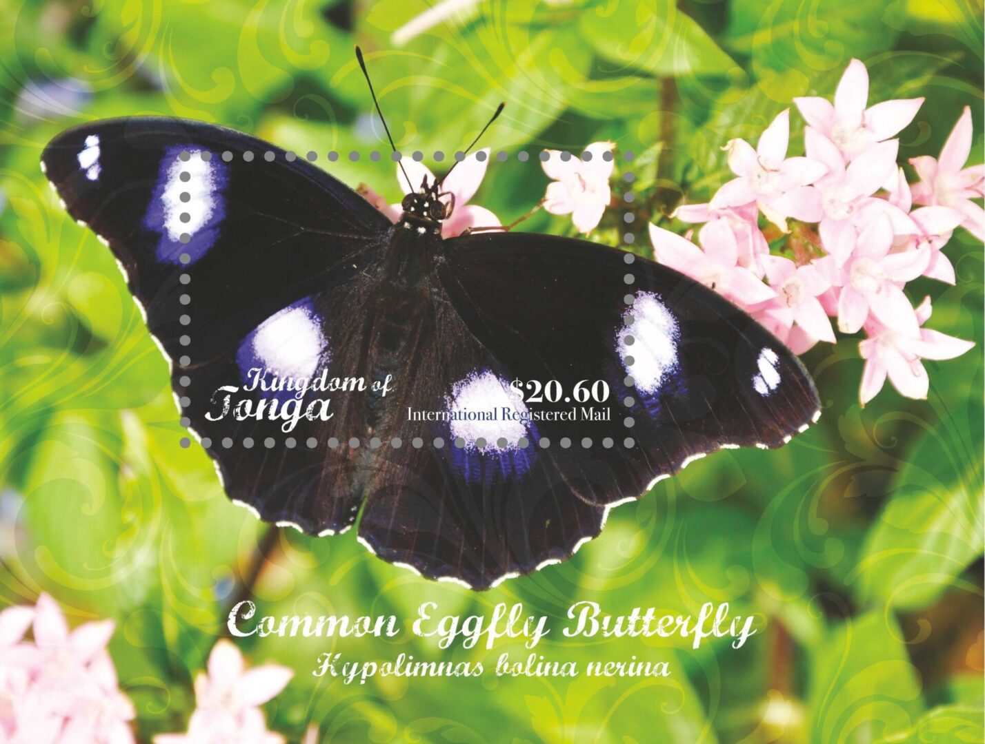 Philatelic Collector Inc