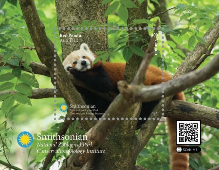 Vanuatu - 2021 - Smithsonian Zoo - Red Panda - Philatelic Collector Inc.